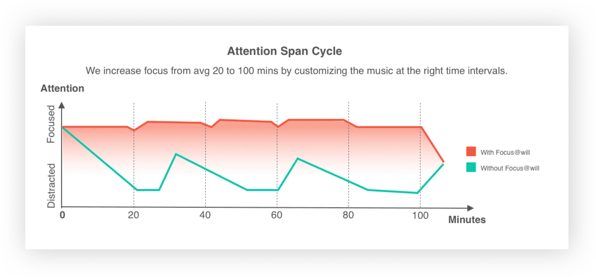 Attention Cycle