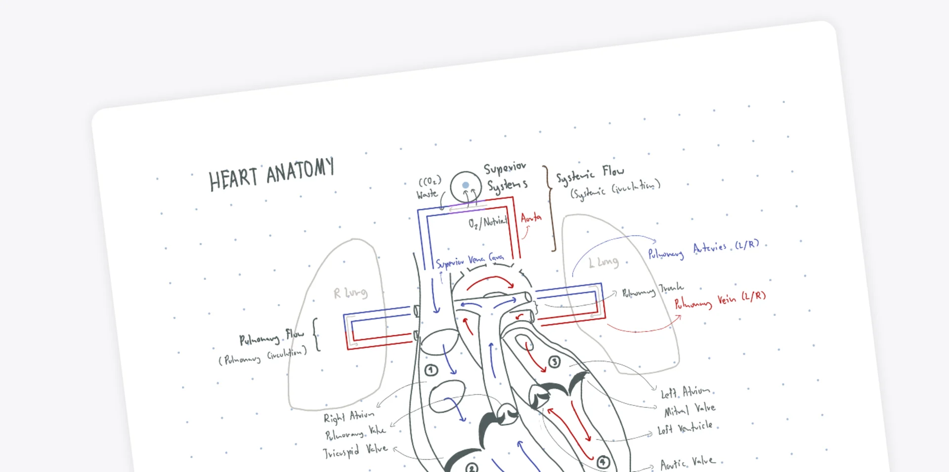Notability for Note-Taking on iPad