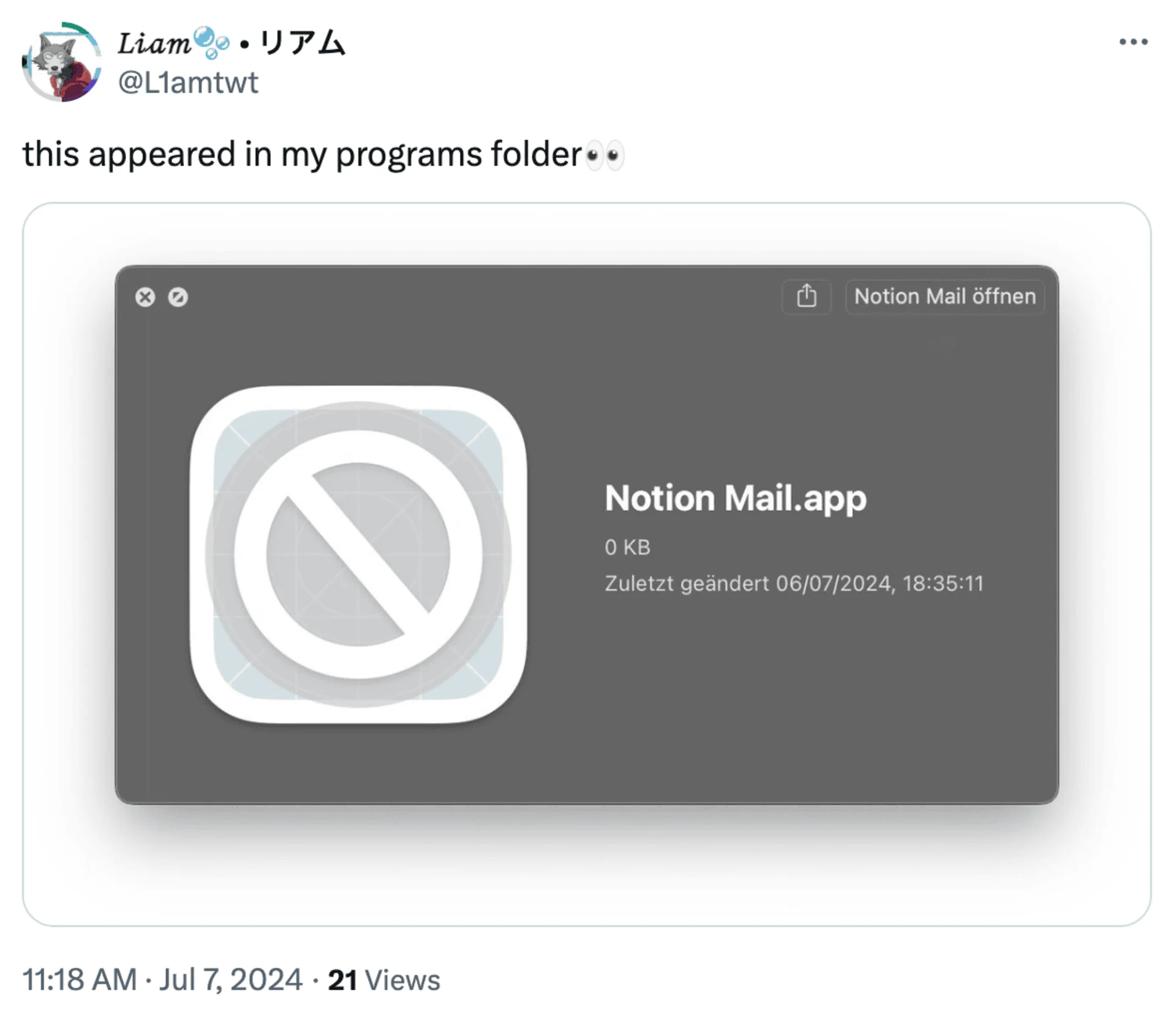 Notion Mail Speculation