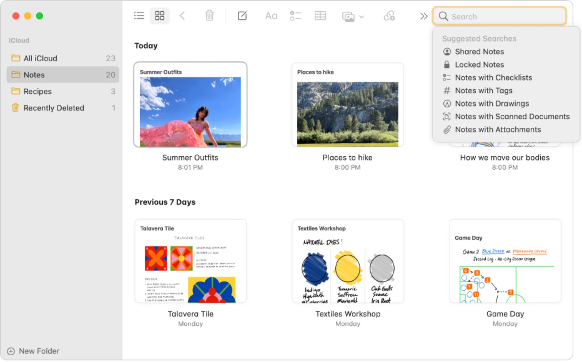 Apple Notes Folders App, Search