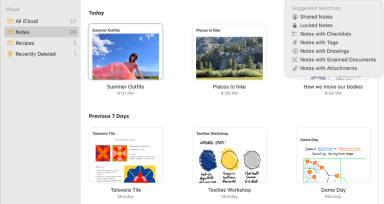 Apple Notes image feature 3
