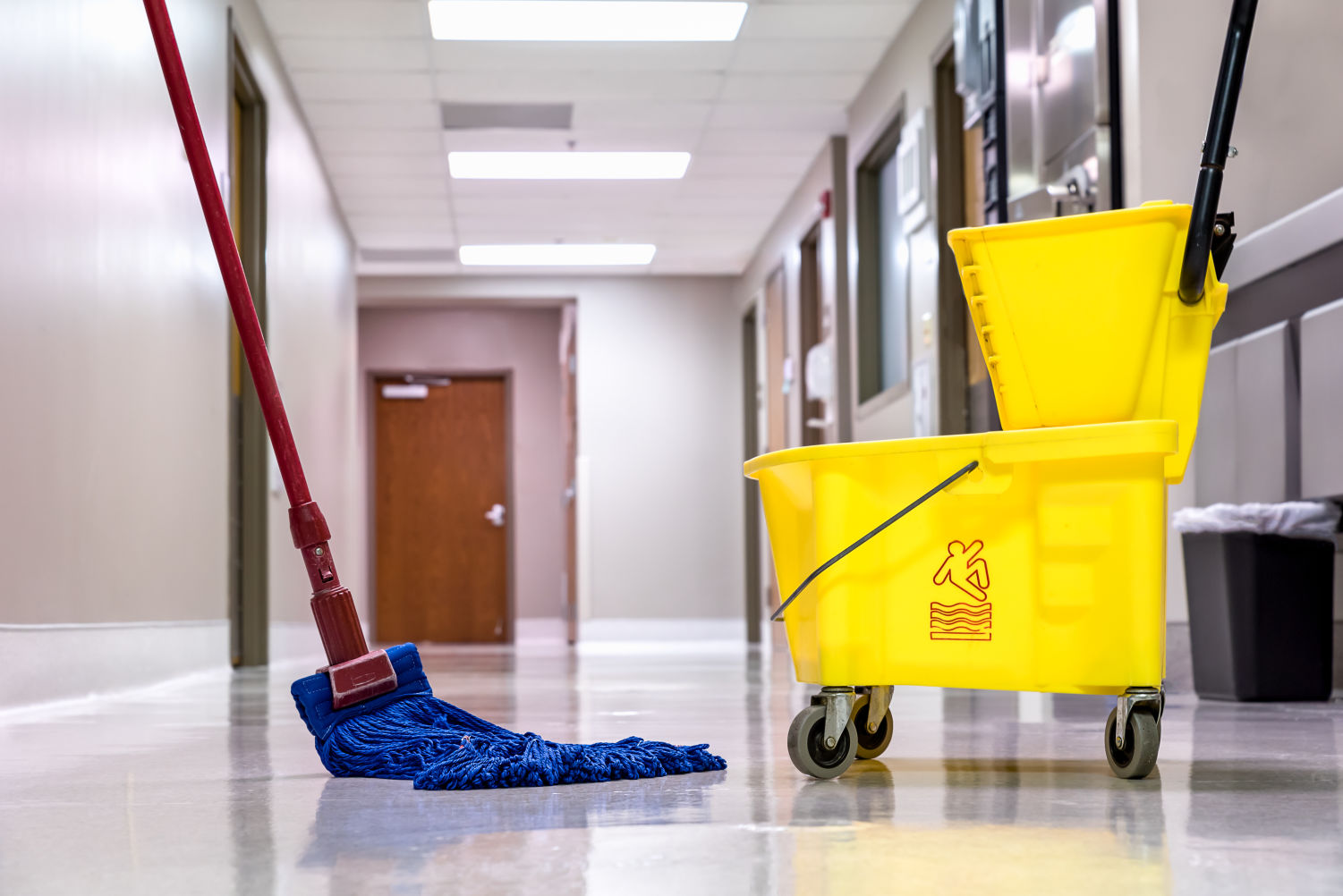 How to Clean the Mop you Depend on