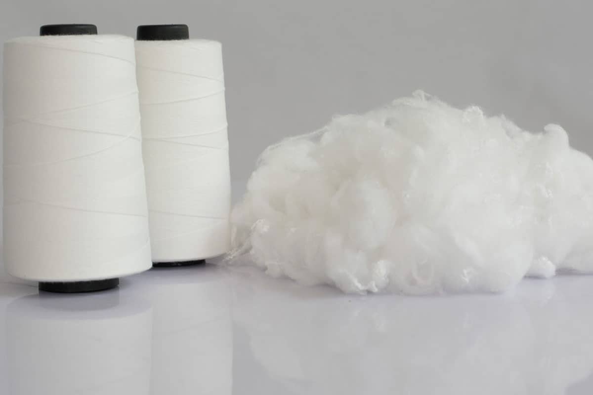 Polyester vs Cotton: Differences and Which is Better? | Alsco