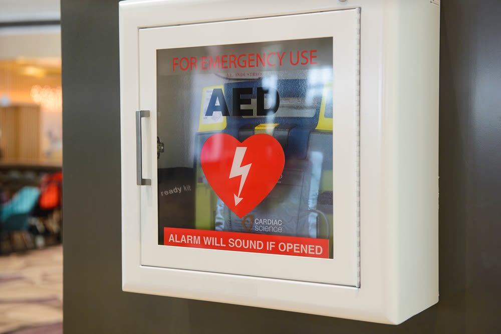 Wall-mounted AED