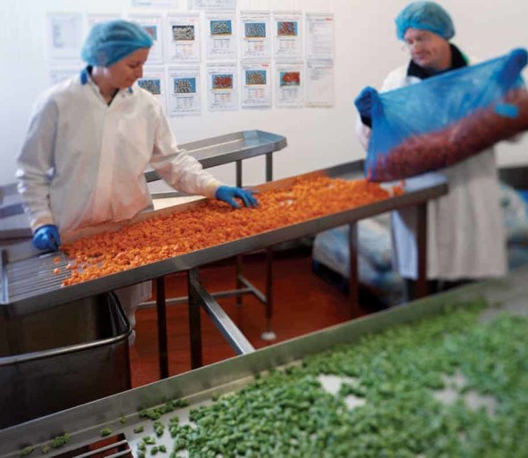 Two people are checking off a number of items on the food processing process on their clipboard