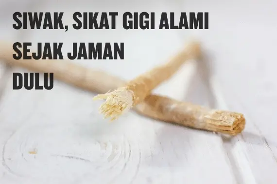 thumbnail15.gif
