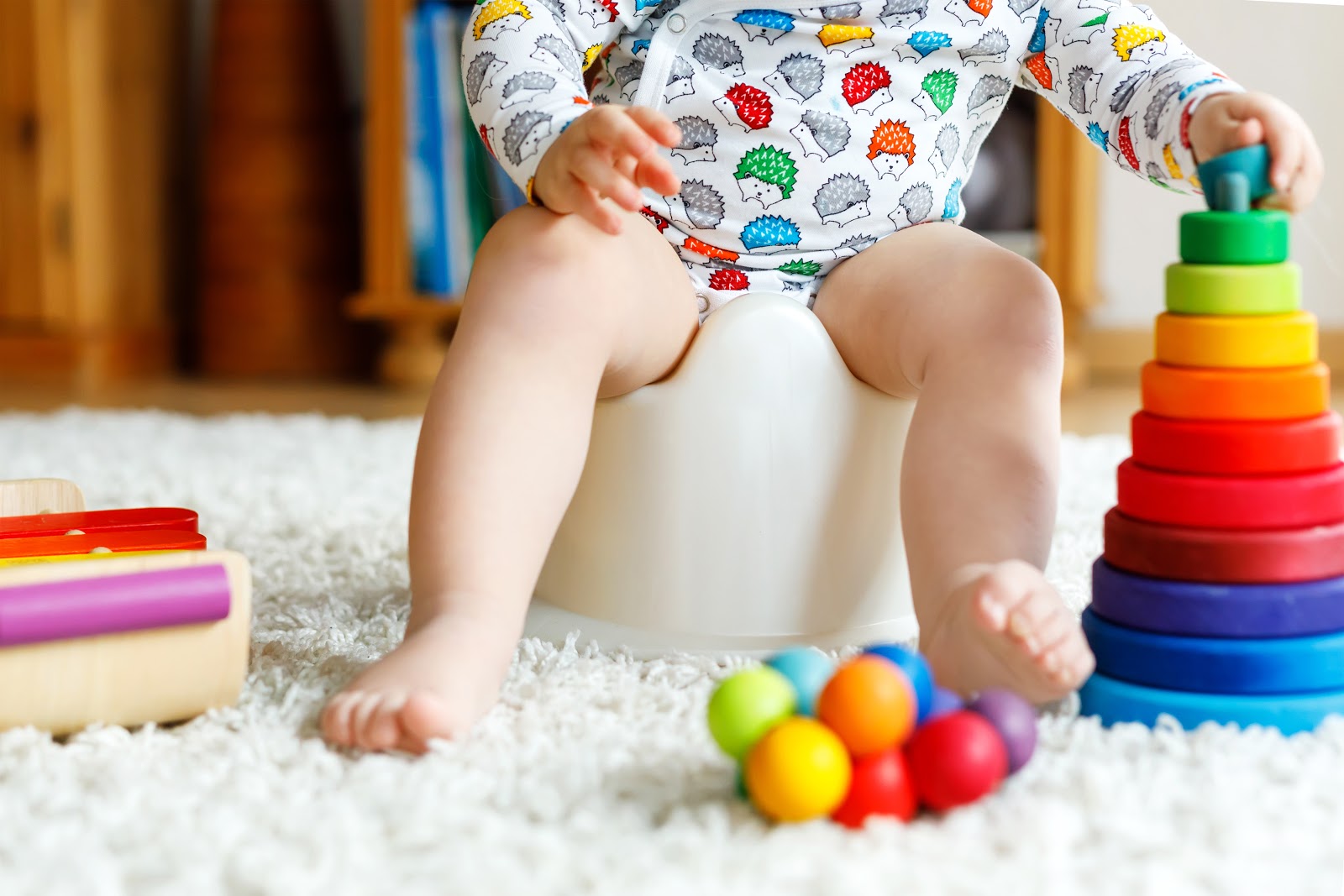 waktu-yang-tepat-untuk-potty-training.jpg