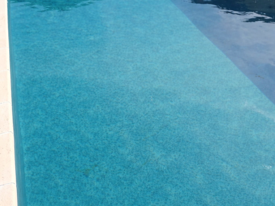 Piscine rénovée avec eau claire après mise en service