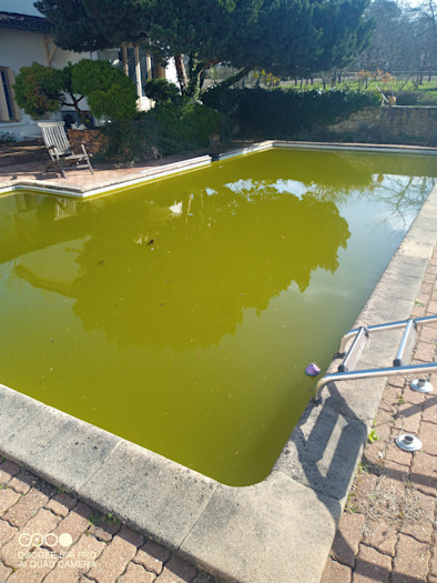 Piscine avec eau verte avant traitement et rénovation