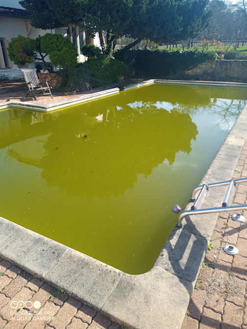 Piscine avec eau verte avant traitement et rénovation