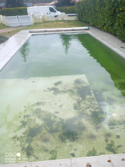 Piscine très sale avec algues et fond encrassé