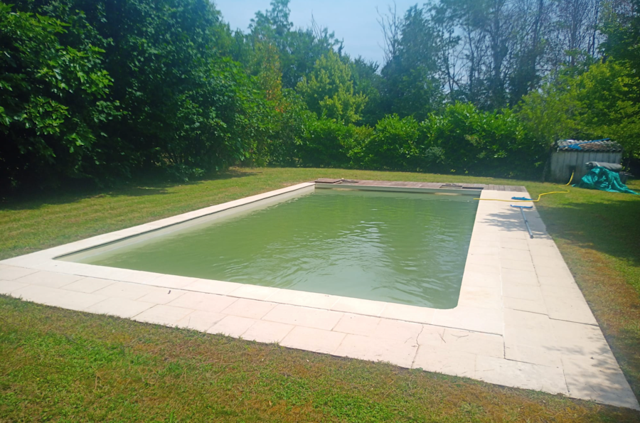 Piscine témoin eau verte