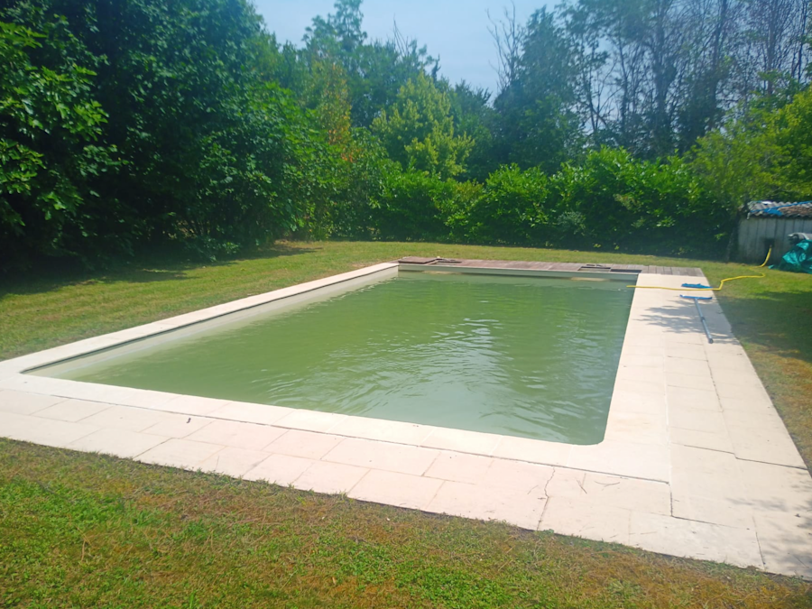 Piscine témoin eau verte