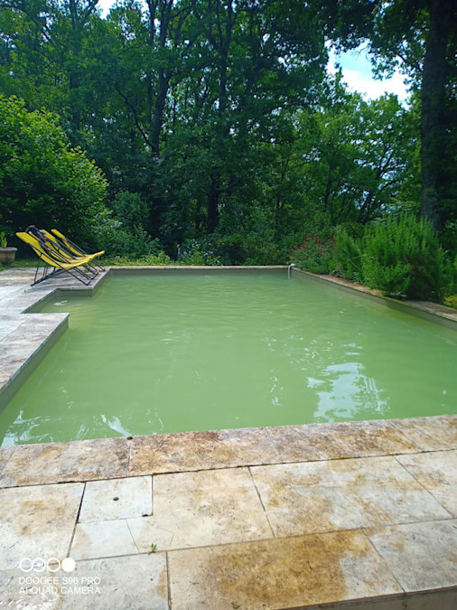 Piscine trouble avec eau verte avant nettoyage