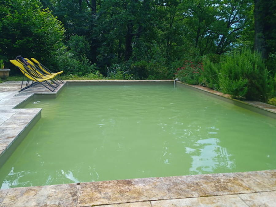Piscine trouble avec eau verte avant nettoyage