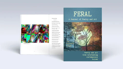 popular self-published educational books on Lulu image showing academic journals