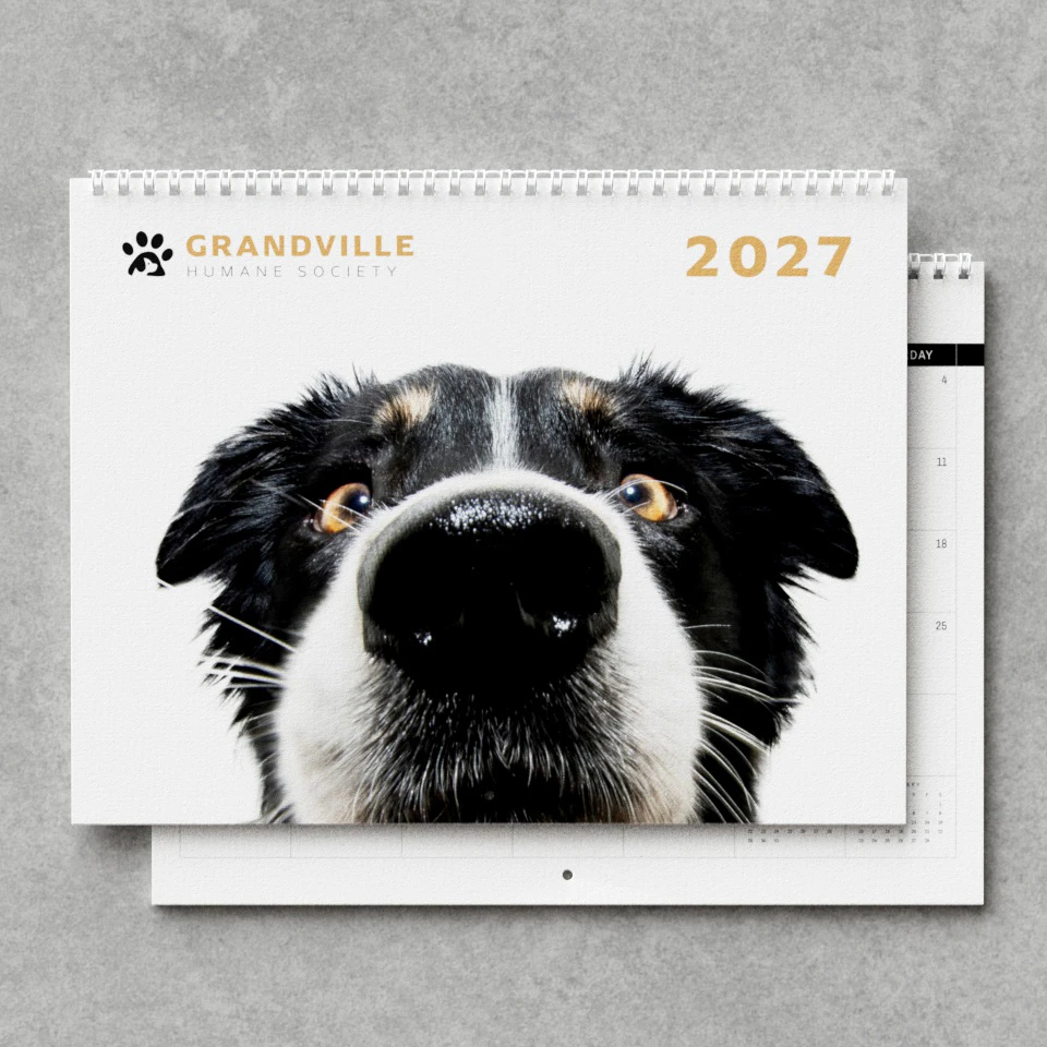 lulu custom wall calendar