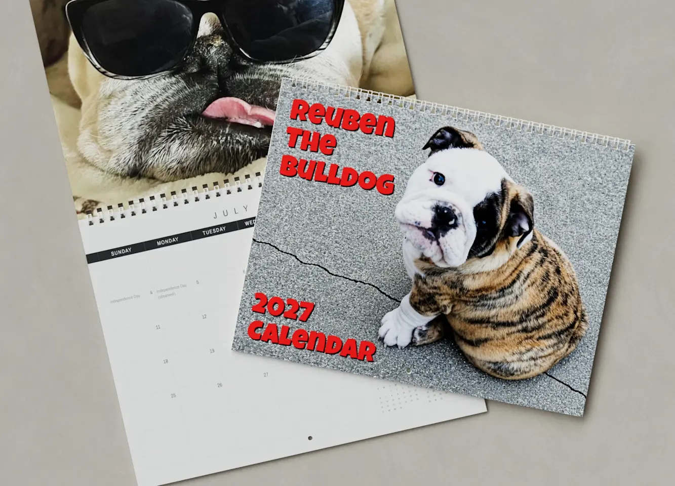 reuben the bulldog 2027 calendar