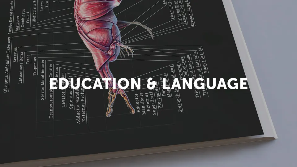 Photo of a self-published anatomy book representing the Lulu bookstore category education and language