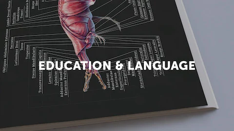 Photo of a self-published anatomy book representing the Lulu bookstore category education and language