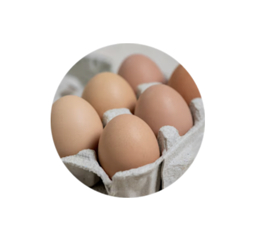 EGGS