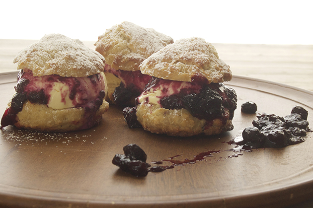 DSC_2196_blog_Lemon-Ice-Cream-Shortcakes.jpg
