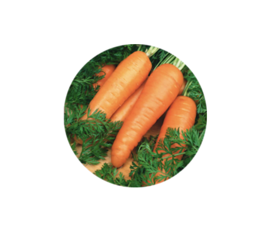 CARROTS