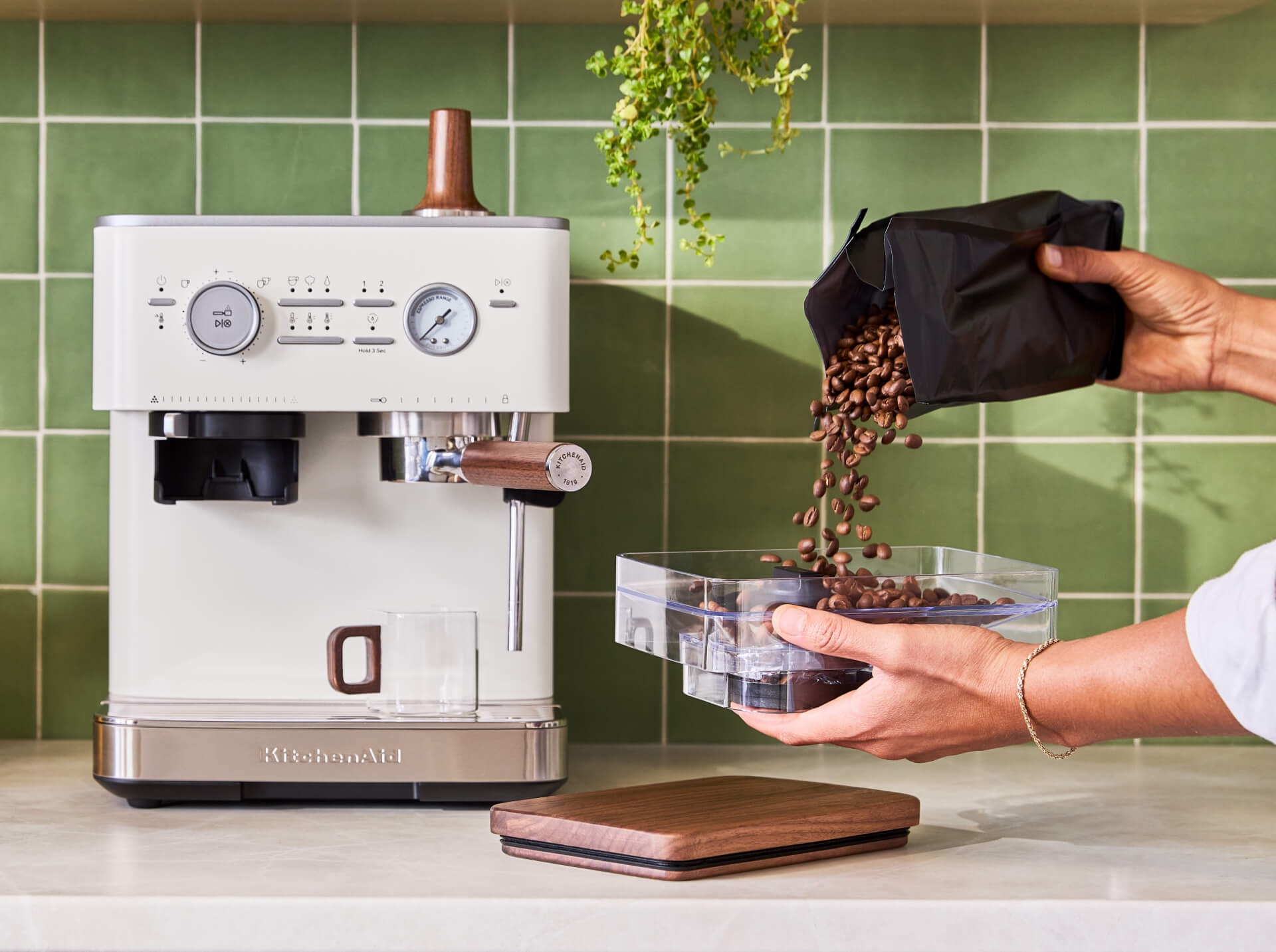 A person pouring coffee beans into the removable bean hopper of a Porcelain White espresso machine.