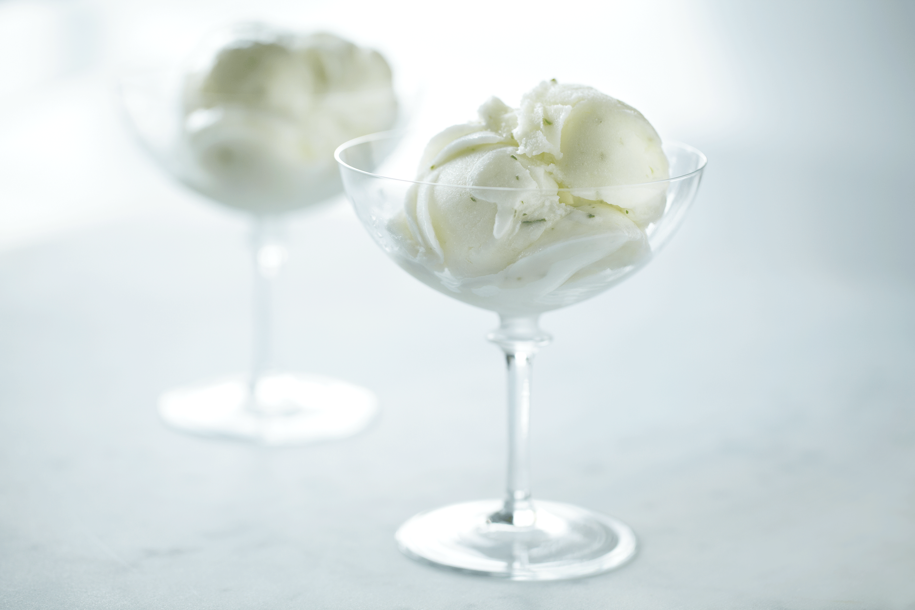 Coconut-GInger-Basil-Sorbet_1_A.png