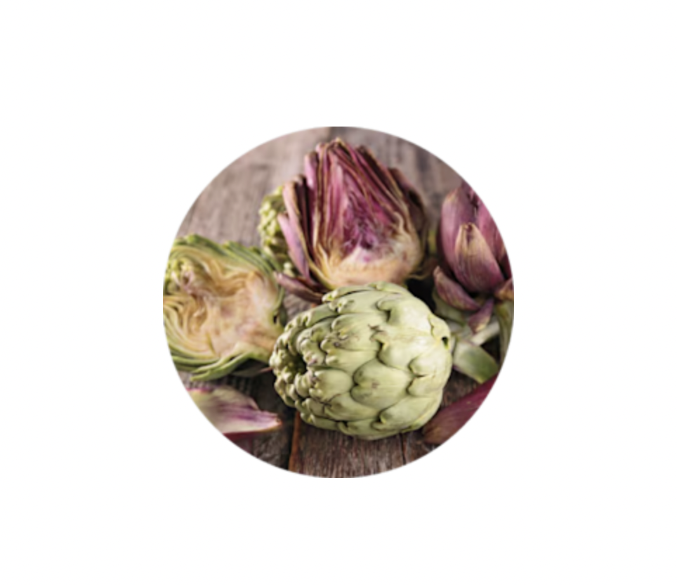 ARTICHOKE