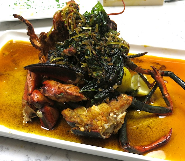 Angry-lobster.jpg