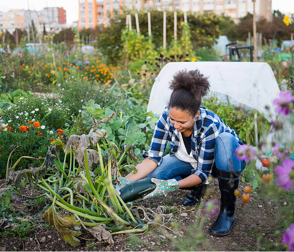 A person gardening. 
