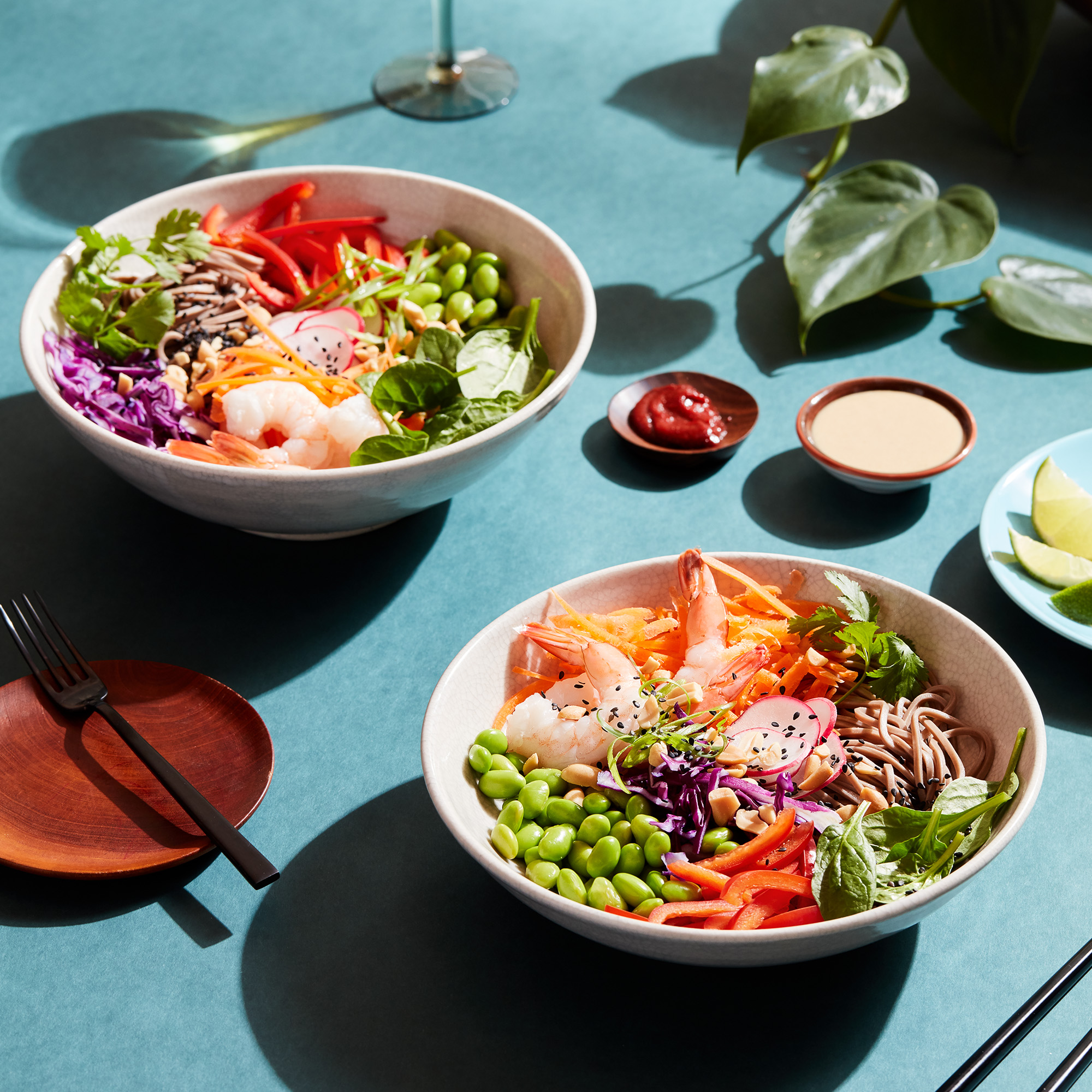 pygcqbvbRIOrDhX763yC_KA_SobaNoodleBowl.jpg