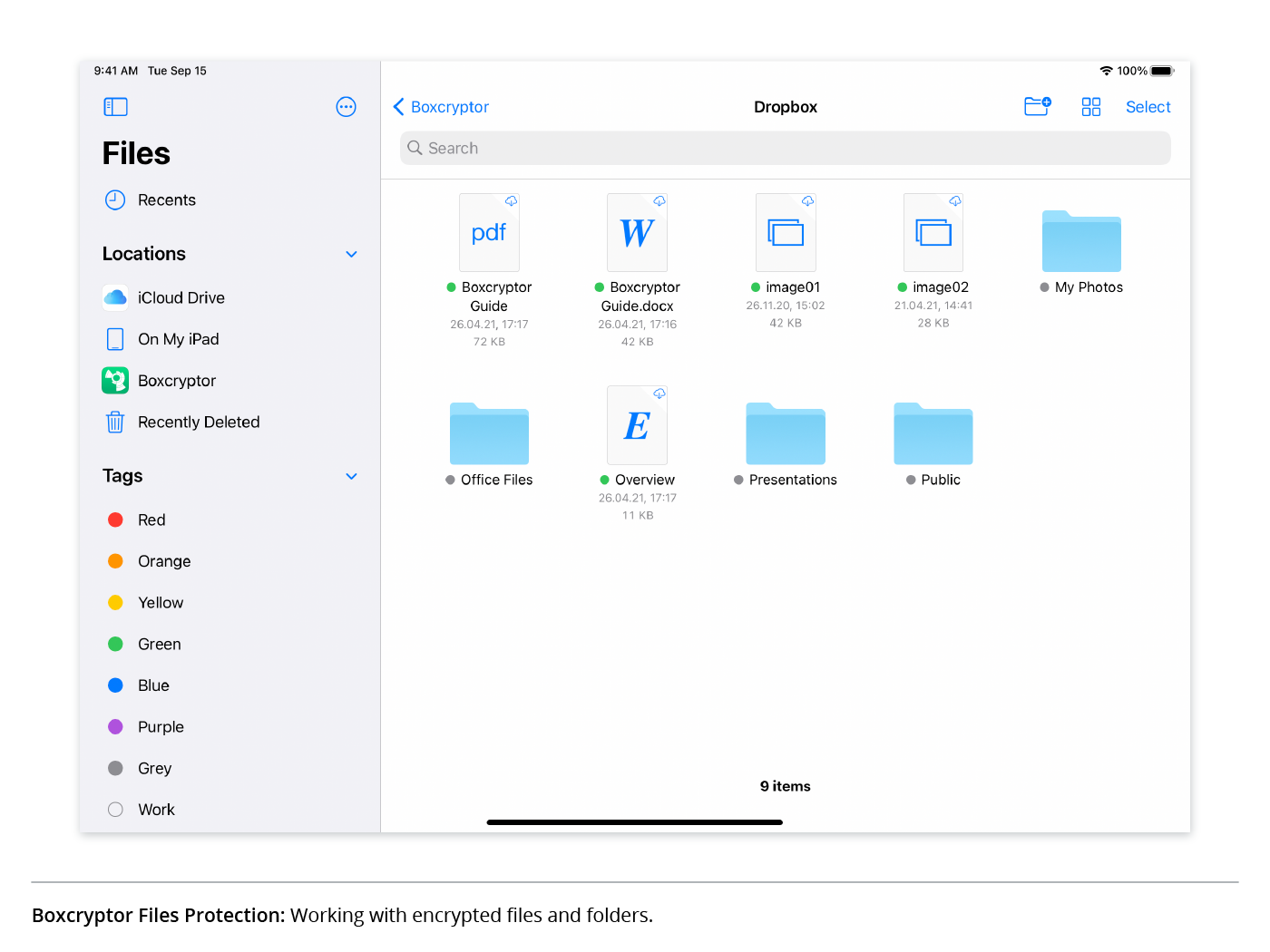 Boxcryptor Files Protection: Working with encrypted files and folders.