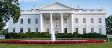 article.featuredImage.altText