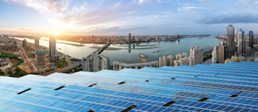 article.featuredImage.altText