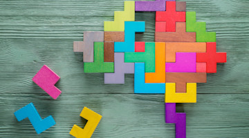 Tetris Human Brain undefined