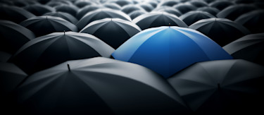 article.featuredImage.altText