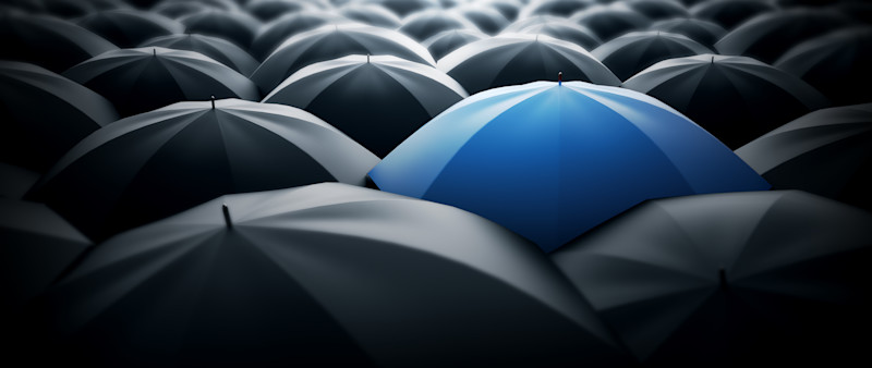 article.featuredImage.altText