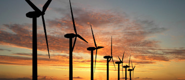 article.featuredImage.altText