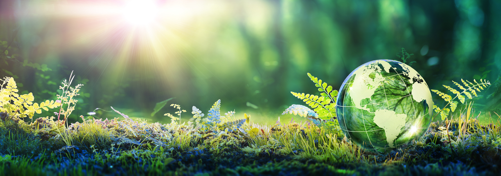 article.featuredImage.altText