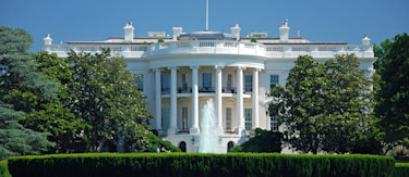 article.featuredImage.altText