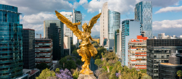 article.featuredImage.altText