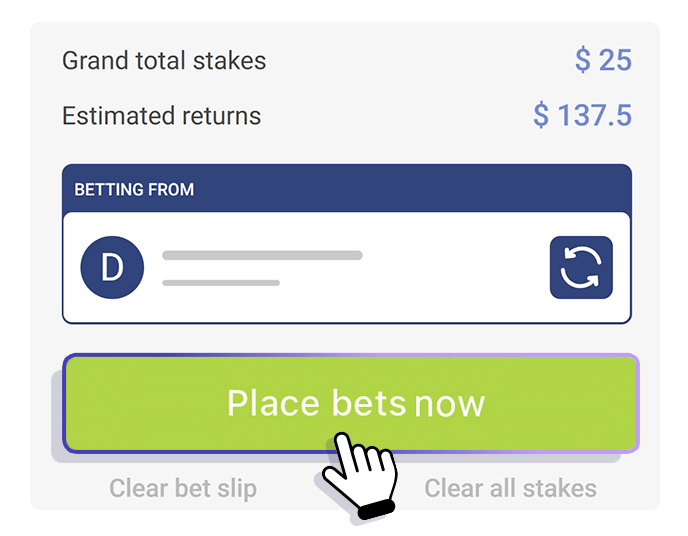Palmerbet App User Interface