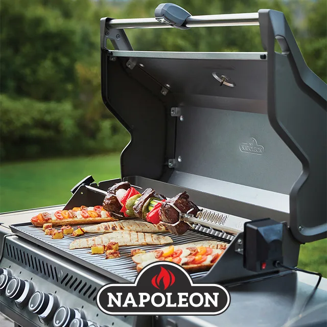 Napoleon Rogue -grillit