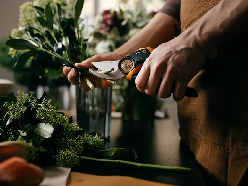 No alt text required for decorative images.