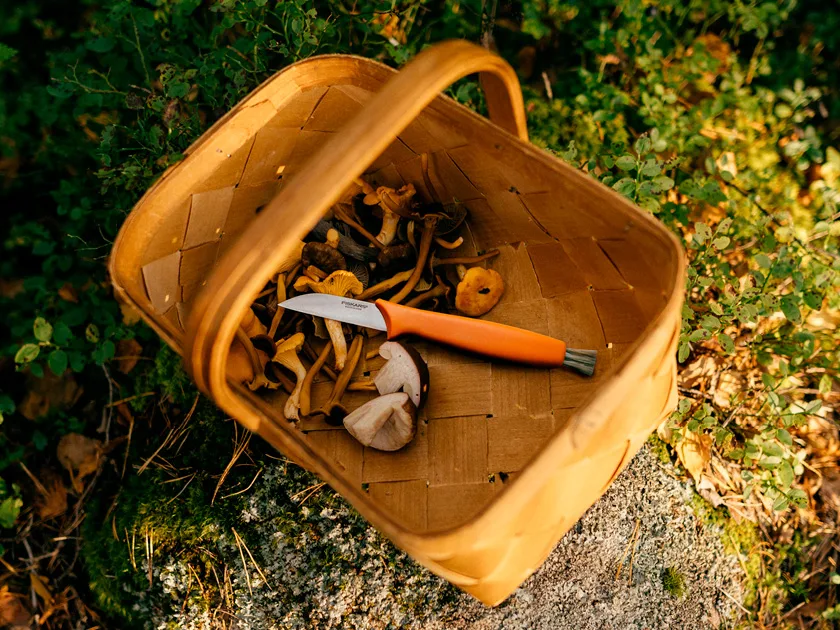 Fiskarsin sienipuukko pärekorissa metsässä