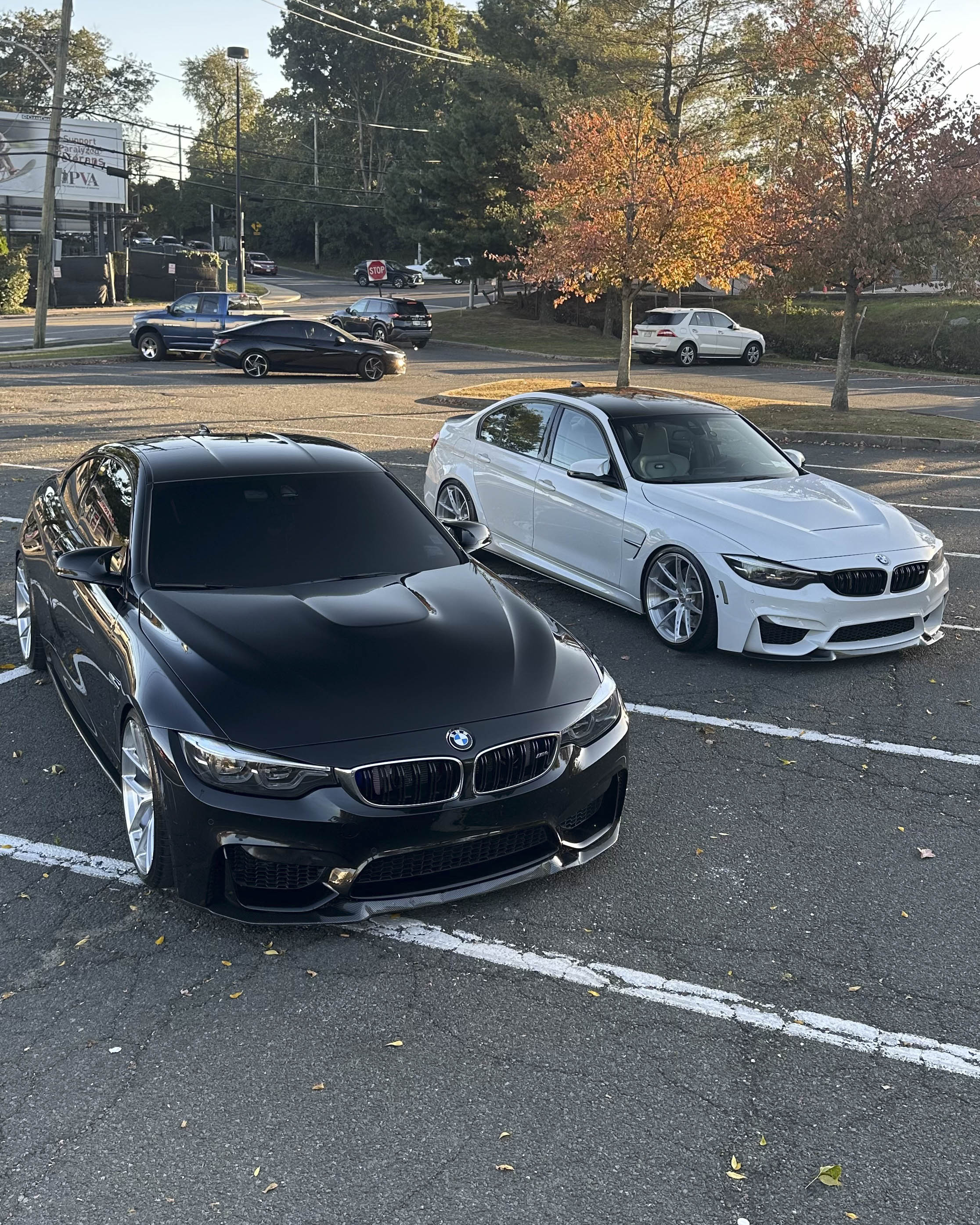F82 BMW M4 with Motivo Forged MB-J custom wheels in gloss brushed clear finish front view