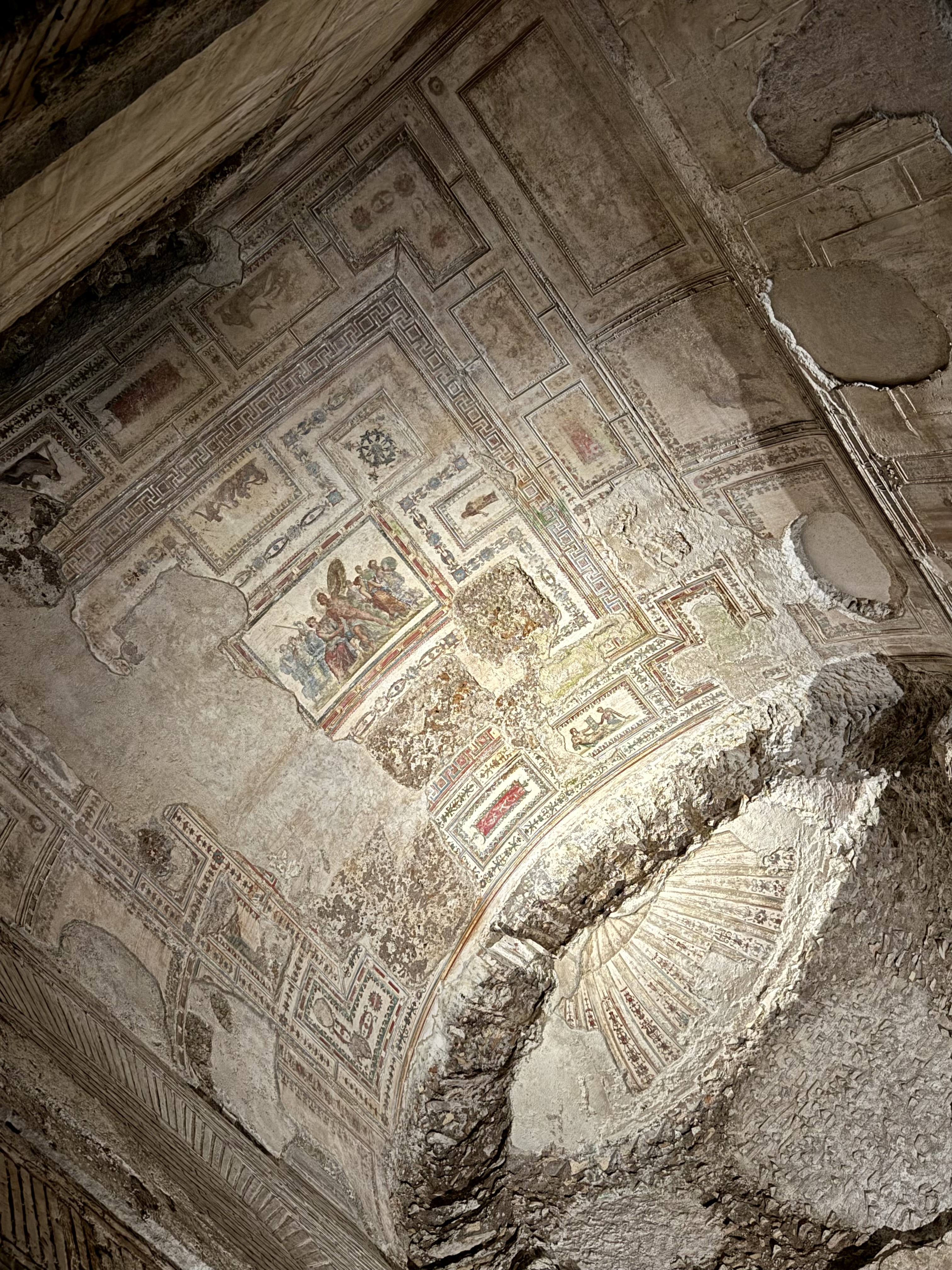 Domus Aurea, ceiling