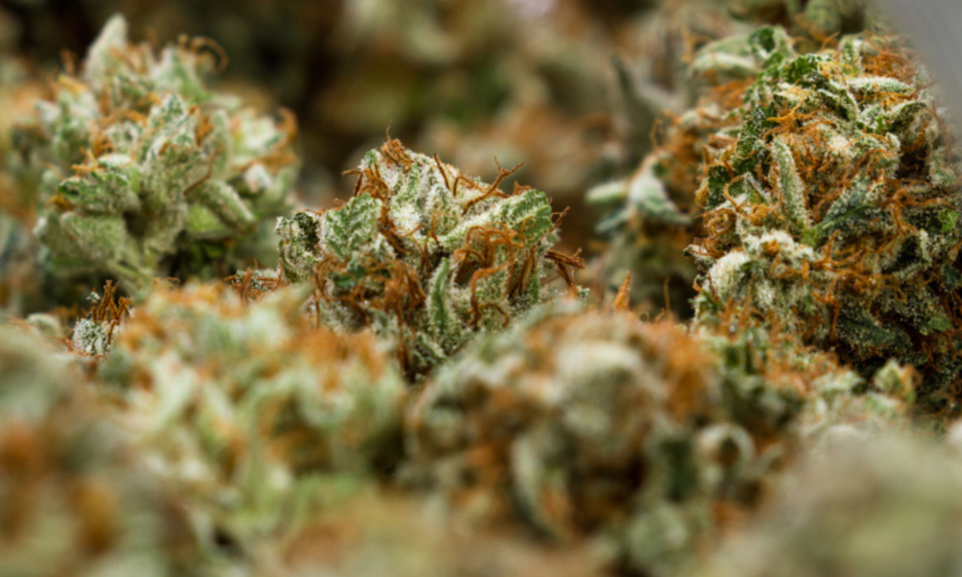 Why Is Weed Called Pot? The Real Spanish Origin Behind Cannabis Slang